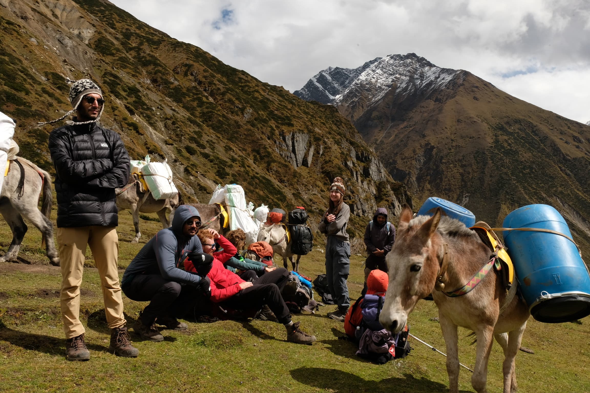 The gang pt.2 featuring a donkey