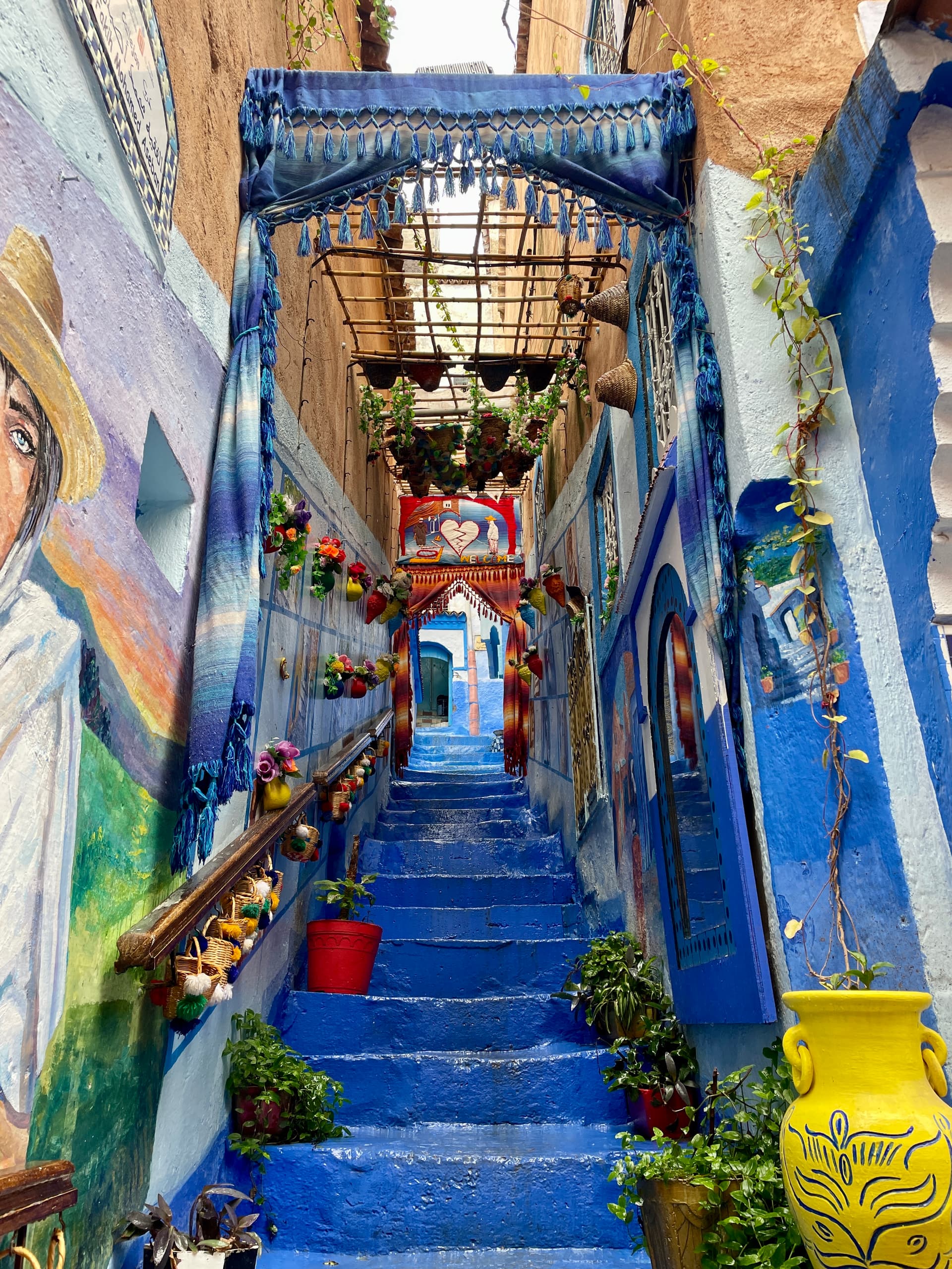 *not pictured the hundred of kittens around the city