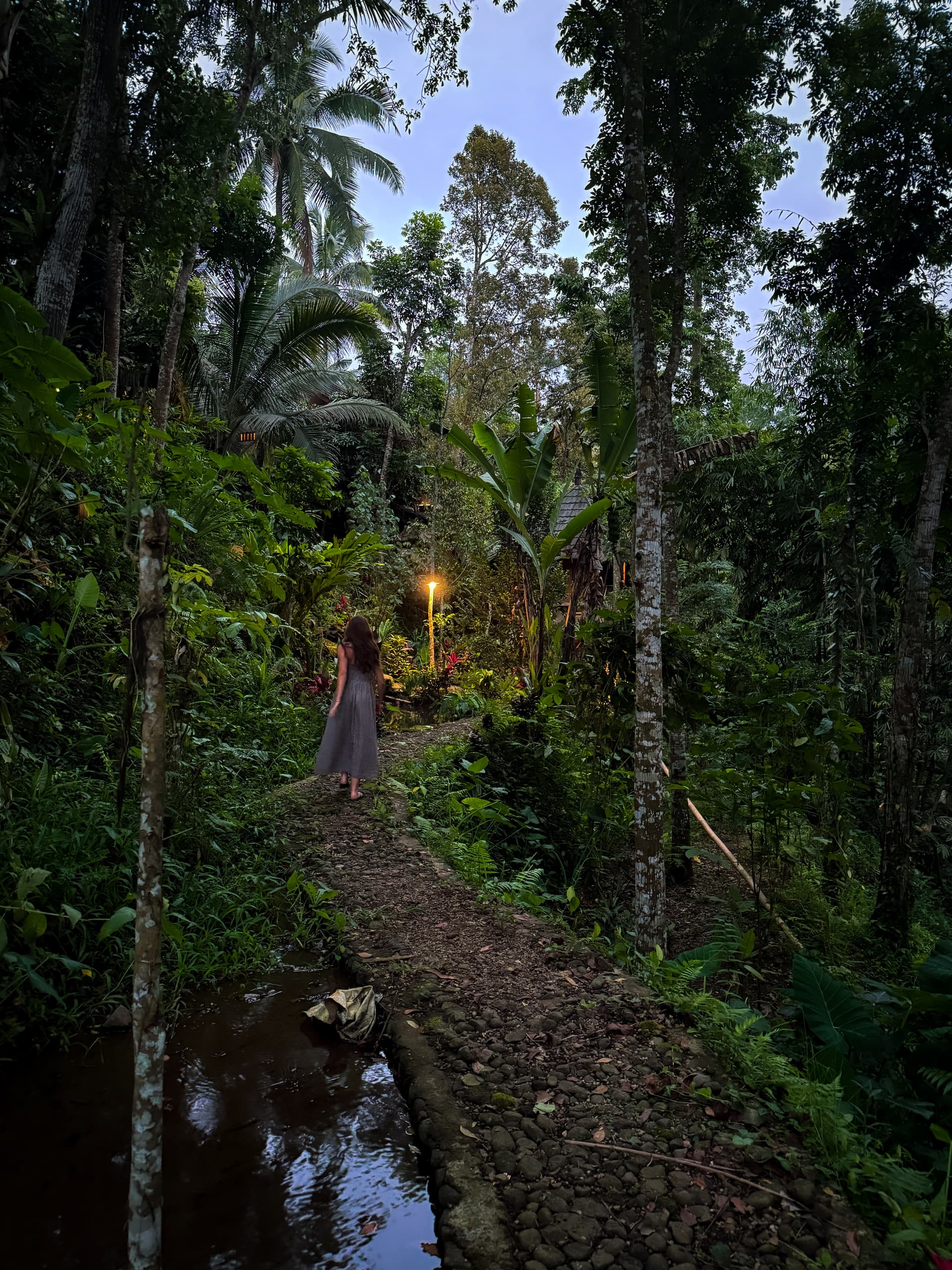 On a walk to my bungalow in Tetebatu
