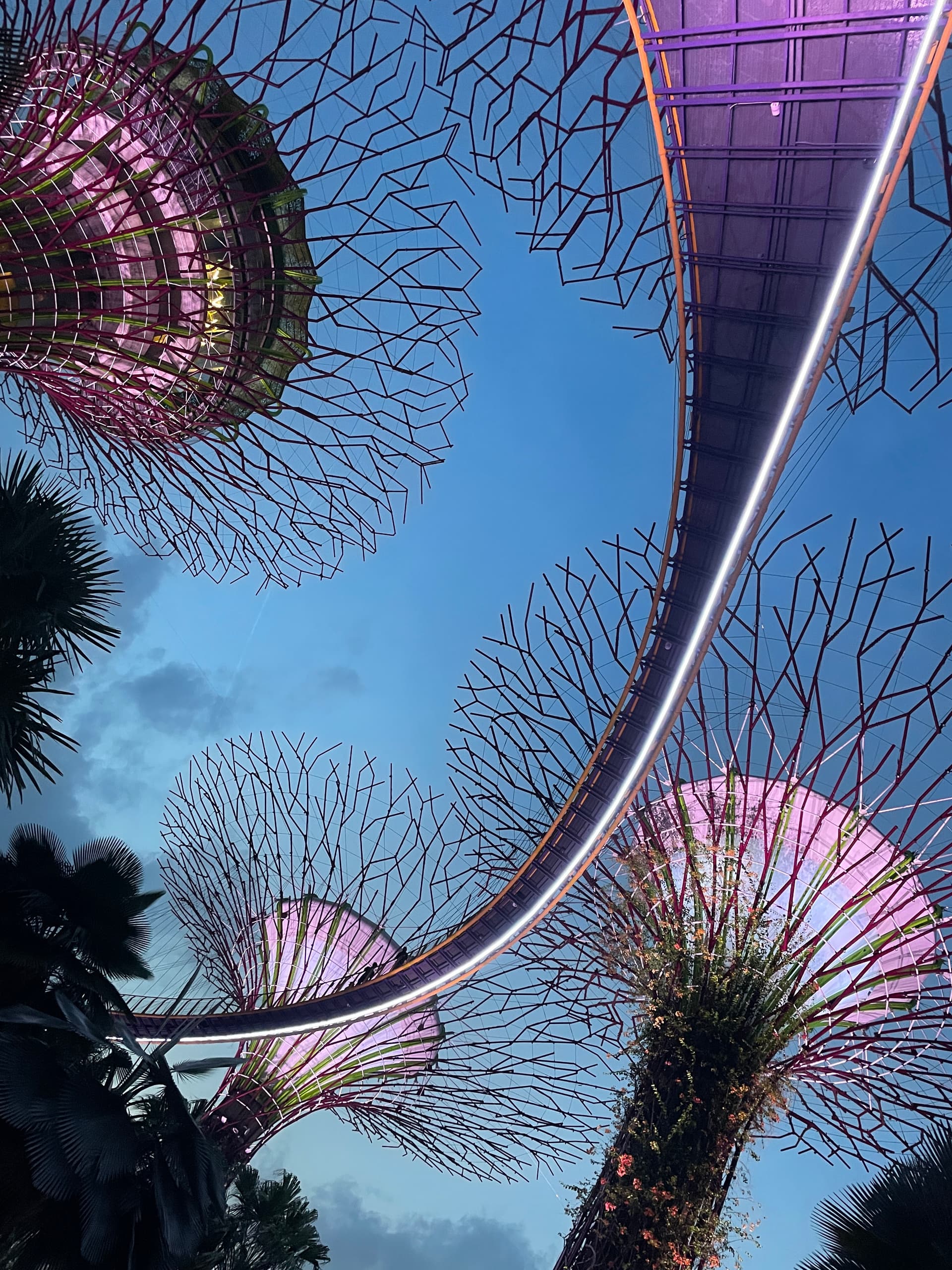 Gardens by the Bay
